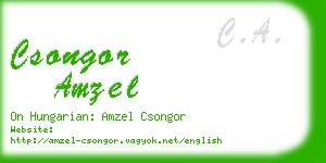 csongor amzel business card